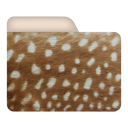𑣲𝄞